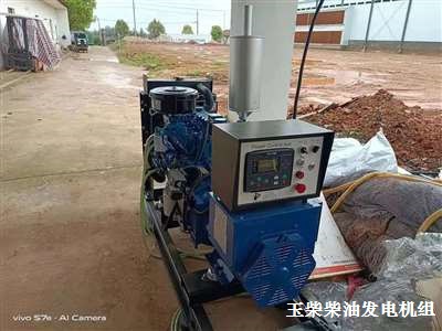 東鄉(xiāng)柴油發(fā)電機組 供應